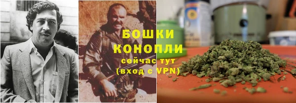 индика Нязепетровск