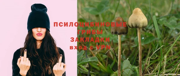 скорость Нягань