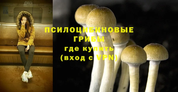 индика Нязепетровск