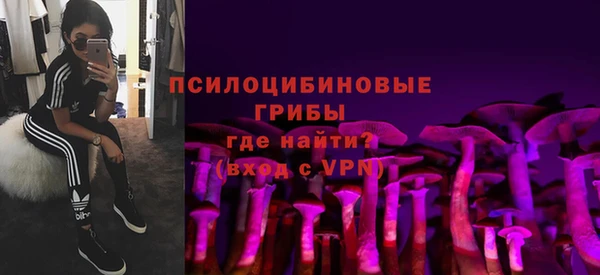 синтетический гашиш Няндома