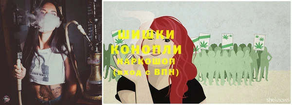 индика Нязепетровск