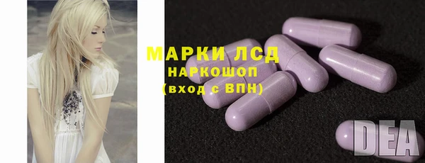 индика Нязепетровск