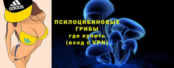 дмт Корсаков