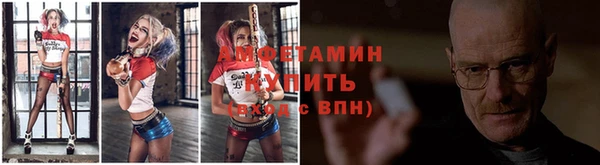 индика Нязепетровск