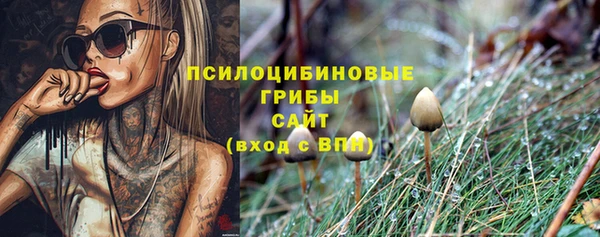 синтетический гашиш Няндома