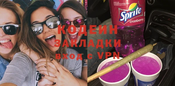 индика Нязепетровск