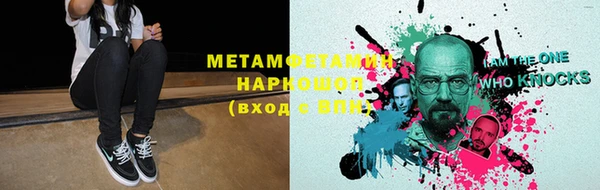 индика Нязепетровск