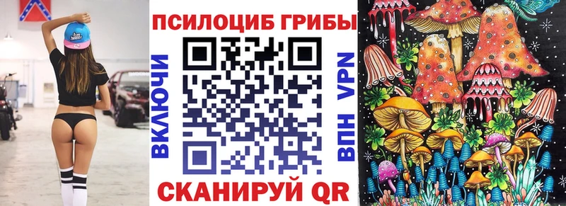 Псилоцибиновые грибы мицелий  где купить наркоту  Белоярский 